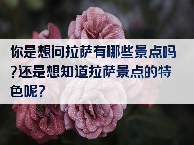 你是想问拉萨有哪些景点吗？还是想知道拉萨景点的特色呢？