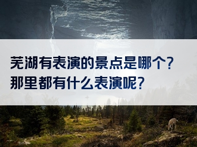 芜湖有表演的景点是哪个？那里都有什么表演呢？