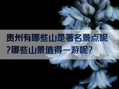 贵州有哪些山是著名景点呢？哪些山景值得一游呢？