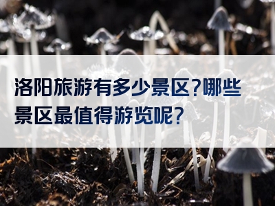 洛阳旅游有多少景区？哪些景区最值得游览呢？