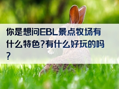 你是想问EBL景点牧场有什么特色？有什么好玩的吗？