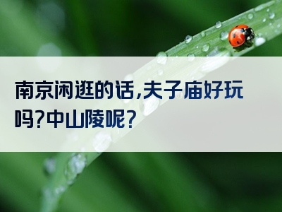南京闲逛的话，夫子庙好玩吗？中山陵呢？
