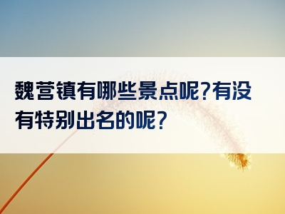 魏营镇有哪些景点呢？有没有特别出名的呢？