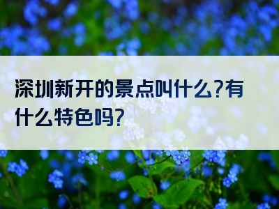 深圳新开的景点叫什么？有什么特色吗？