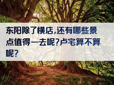东阳除了横店，还有哪些景点值得一去呢？卢宅算不算呢？