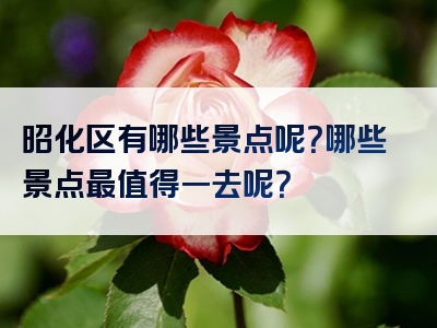 昭化区有哪些景点呢？哪些景点最值得一去呢？
