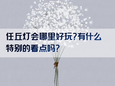 任丘灯会哪里好玩？有什么特别的看点吗？