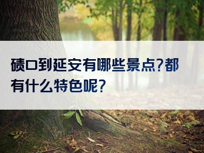 碛口到延安有哪些景点？都有什么特色呢？
