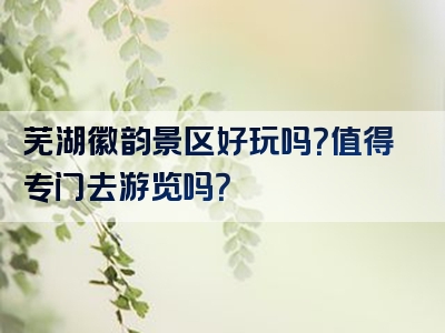 芜湖徽韵景区好玩吗？值得专门去游览吗？