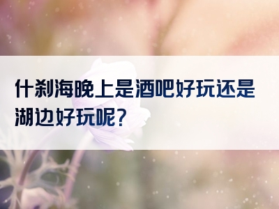 什刹海晚上是酒吧好玩还是湖边好玩呢？