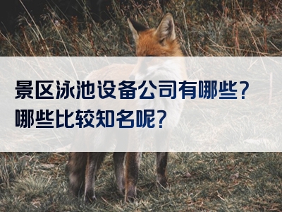 景区泳池设备公司有哪些？哪些比较知名呢？