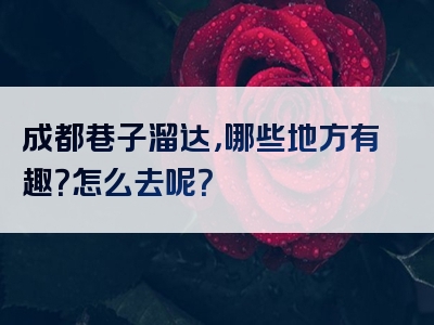 成都巷子溜达，哪些地方有趣？怎么去呢？