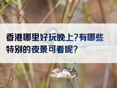 香港哪里好玩晚上？有哪些特别的夜景可看呢？
