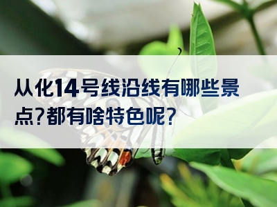 从化14号线沿线有哪些景点？都有啥特色呢？