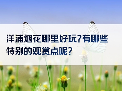 洋浦烟花哪里好玩？有哪些特别的观赏点呢？