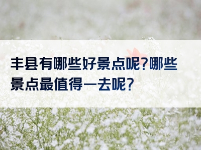 丰县有哪些好景点呢？哪些景点最值得一去呢？