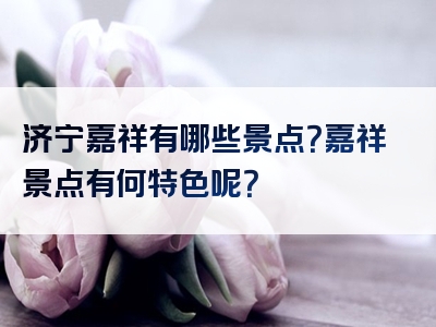 济宁嘉祥有哪些景点？嘉祥景点有何特色呢？