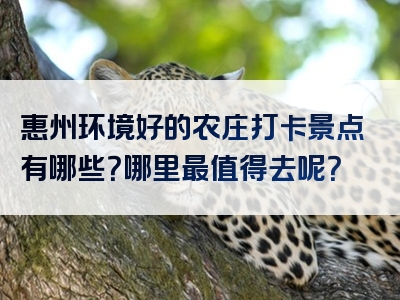惠州环境好的农庄打卡景点有哪些？哪里最值得去呢？