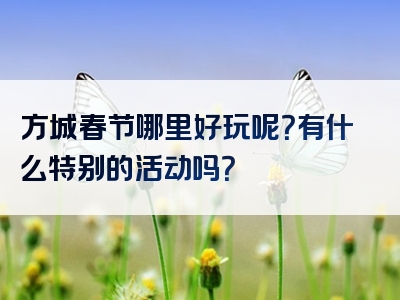 方城春节哪里好玩呢？有什么特别的活动吗？