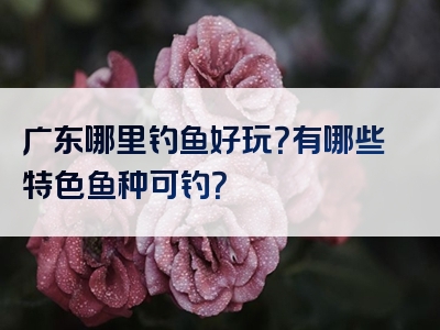 广东哪里钓鱼好玩？有哪些特色鱼种可钓？