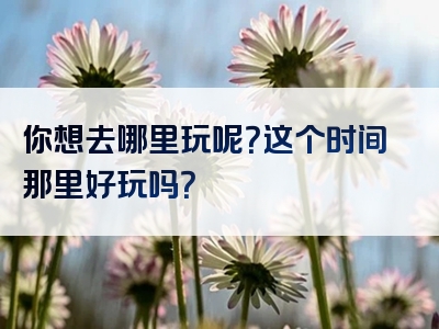 你想去哪里玩呢？这个时间那里好玩吗？
