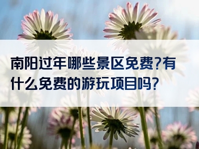 南阳过年哪些景区免费？有什么免费的游玩项目吗？