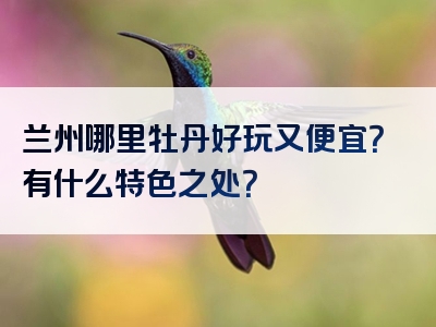 兰州哪里牡丹好玩又便宜？有什么特色之处？