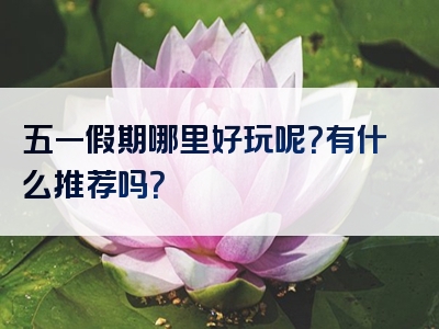 五一假期哪里好玩呢？有什么推荐吗？