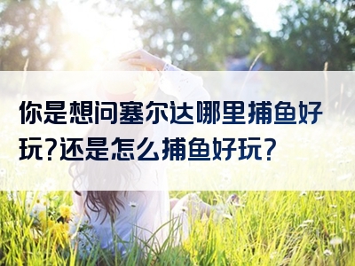 你是想问塞尔达哪里捕鱼好玩？还是怎么捕鱼好玩？