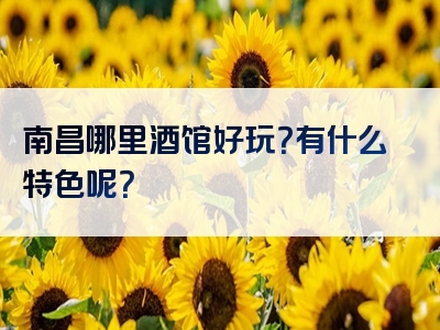 南昌哪里酒馆好玩？有什么特色呢？