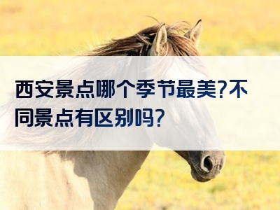 西安景点哪个季节最美？不同景点有区别吗？