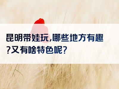 昆明带娃玩，哪些地方有趣？又有啥特色呢？
