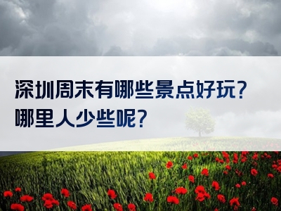 深圳周末有哪些景点好玩？哪里人少些呢？