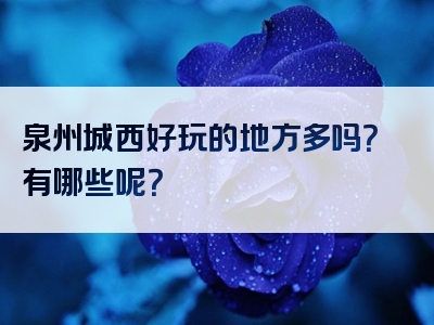 泉州城西好玩的地方多吗？有哪些呢？