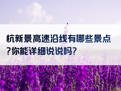 杭新景高速沿线有哪些景点？你能详细说说吗？