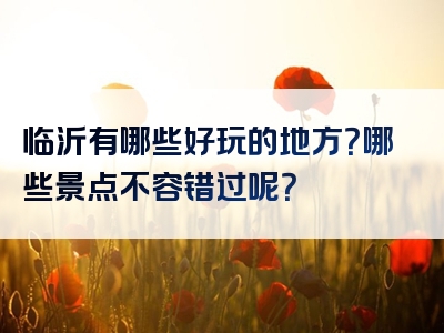 临沂有哪些好玩的地方？哪些景点不容错过呢？