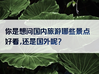 你是想问国内旅游哪些景点好看，还是国外呢？