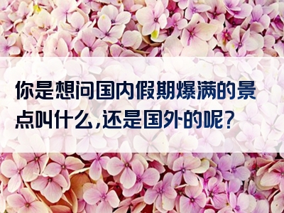 你是想问国内假期爆满的景点叫什么，还是国外的呢？