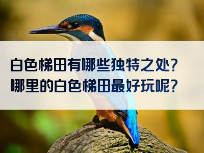 白色梯田有哪些独特之处？哪里的白色梯田最好玩呢？