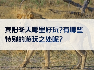 宾阳冬天哪里好玩？有哪些特别的游玩之处呢？