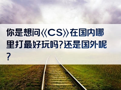 你是想问《CS》在国内哪里打最好玩吗？还是国外呢？