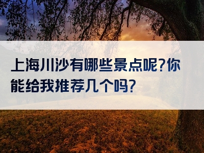 上海川沙有哪些景点呢？你能给我推荐几个吗？