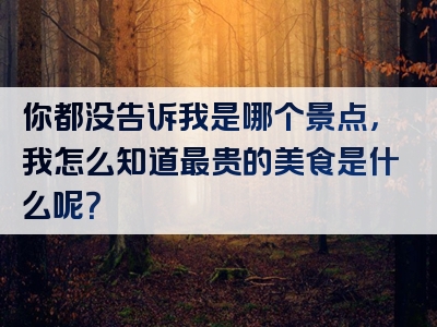 你都没告诉我是哪个景点，我怎么知道最贵的美食是什么呢？