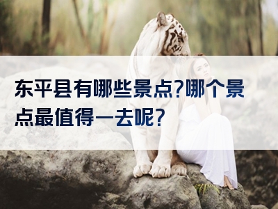 东平县有哪些景点？哪个景点最值得一去呢？