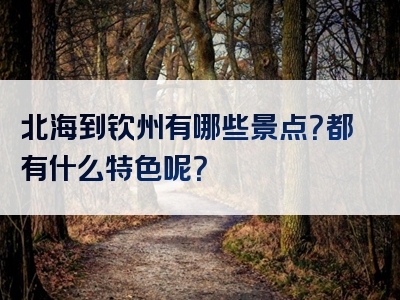 北海到钦州有哪些景点？都有什么特色呢？