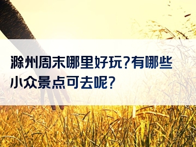 滁州周末哪里好玩？有哪些小众景点可去呢？