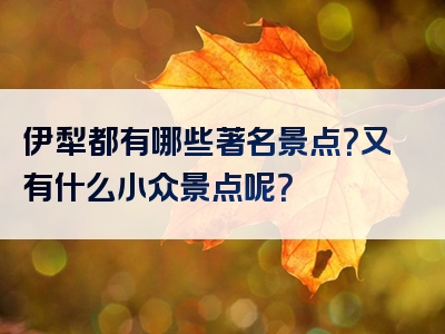 伊犁都有哪些著名景点？又有什么小众景点呢？