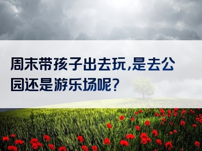 周末带孩子出去玩，是去公园还是游乐场呢？