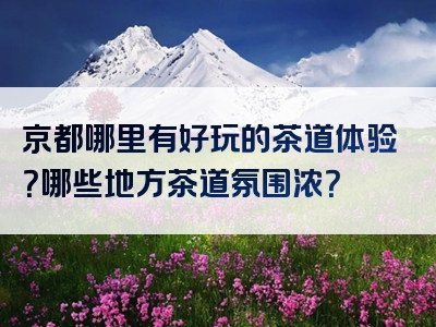 京都哪里有好玩的茶道体验？哪些地方茶道氛围浓？