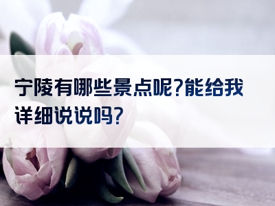 宁陵有哪些景点呢？能给我详细说说吗？